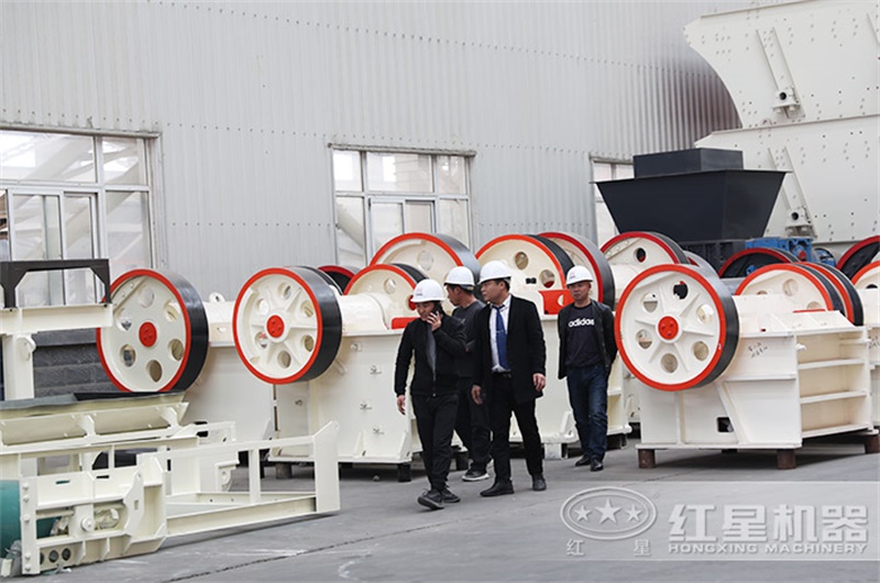 客戶考察250x1000細鄂設備 客戶考察250x1000細鄂設備